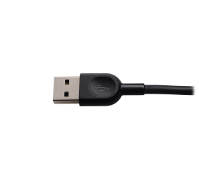 Ausinės Logitech H540 USB (981-000480), juodos