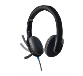 Logitech H540 Laidinės ausinės, USB-A, Juoda