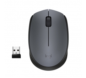 Pelė belaidė Logitech M170 Wireless (910-004642),  pilka