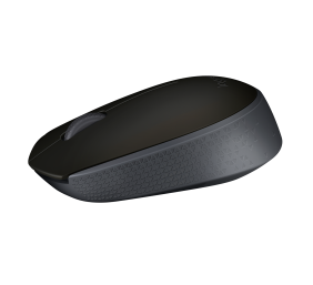 Pelė belaidė Logitech M171 Wireless (910-004424),  juoda