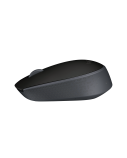 Pelė belaidė Logitech M171 Wireless (910-004424),  juoda