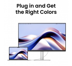 Benq MA320U | 31.5 " | IPS | 16:9 | 60 Hz | 5 ms | 3840 x 2160 pixels | 550 cd/m² | HDMI ports quantity 2