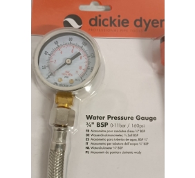 Ecost prekė po grąžinimo Dickie Dyer Vandens slėgio matuoklis 010 Bar 3/4" BSP vyriškas sriegis 8847