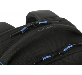 Targus TBB643GL | Coastline Laptop Backpack | Fits up to size 15-16 " | Backpack | Black