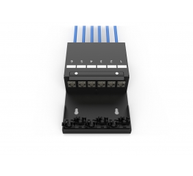 Digitus Consolidation point box, 6-port Keystone modules with intelligent cable manager | DN-93708-6