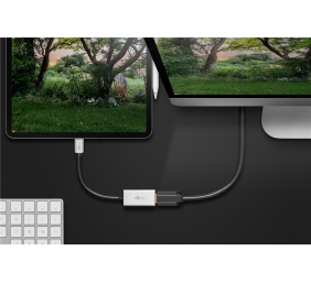 Goobay USB-C Adapter to HDMI | 60194
