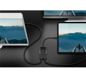 Goobay USB-C Adapter to 2x DisplayPort | 60171