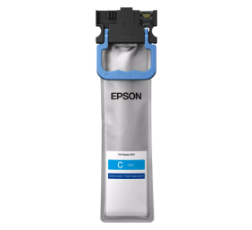Epson T13L2 XL (C13T13L240) Rašalinė kasetė, Žydra
