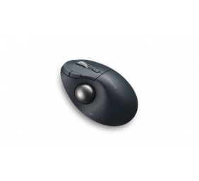 Kensington ProFit Ergo TB550 Trackball Belaidė pelė, RF Wireless + Bluetooth, 1600 DPI, Black/Grey
