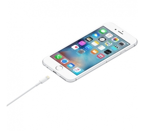 Apple Lightning į USB-A Kabelis, 1 m, Balta