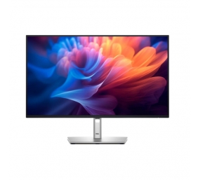 Dell 24 Monitor - P2425H, 60.5cm (23.8")
