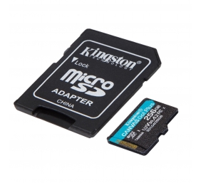 Kingston | Canvas Go! Plus | 256 GB | microSD | Flash memory class Class 10, UHS-I, U3, V30, A2