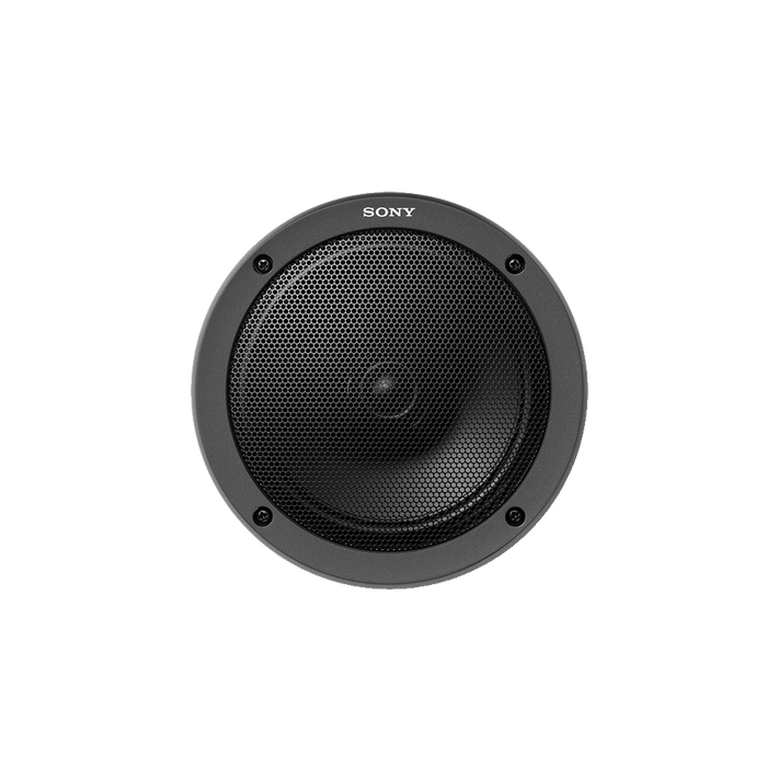 Sony | 16cm Coaxial Speaker | XS-160 GS | 250 W | Black