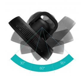 Duux Fan | Whisper Flex 2 | Stand Fan | Black | Diameter 34 cm | Number of speeds 30 | Oscillation | 2-21.5 W | Remote control