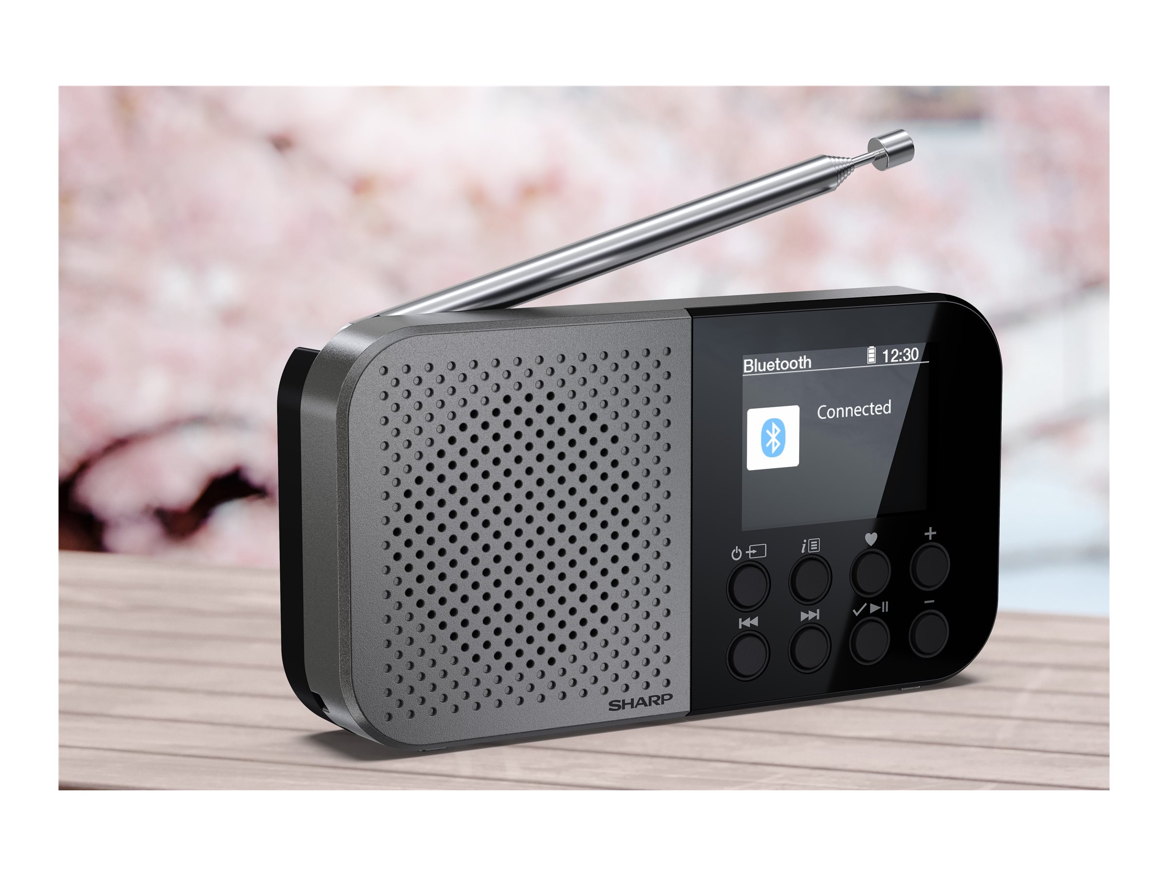 Sharp DR-P520(GY) OSAKA Pocket/Handheld Portable Digital Radio, Grey | Sharp