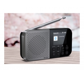 Sharp DR-P520(GY) OSAKA Pocket/Handheld Portable Digital Radio, Grey | Sharp