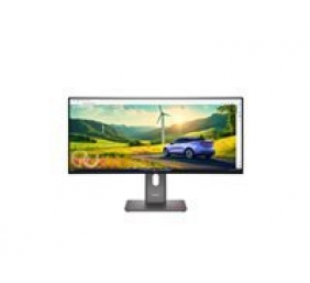 Lenovo ThinkVision | P34WD-40 | 34 " | IPS | 21:9 | 120 Hz | 4 ms | 3440x1440 pixels | 350 cd/m² | HDMI ports quantity 1 | Eclipse black | Warranty 36 month(s)