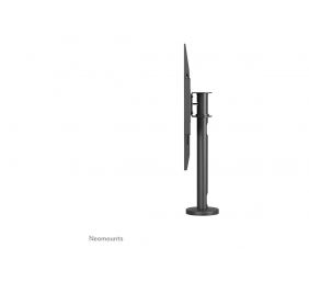 Neomounts DS42-430BL14 TV stand 1 screen - 32-55" - 0-50 kg - VESA 100x100-400x400 - bolt-down - 60° swivel - black