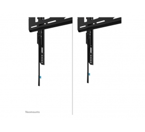 Neomounts LEVEL-750 WL30-750BL14 Fixed heavy duty wall mount - 32-75" screen - max 100 kg - VESA 100x100-400x400 - d 4,2 cm - level adjustme | Neomounts