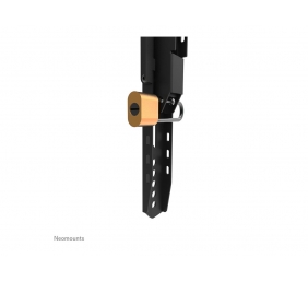 Neomounts LEVEL-750 WL30-750BL16 Fixed heavy duty wall mount - 42-86" screen - max 125 kg - VESA 100x100-600x400 - d 4,2 cm - level adjustme | Neomounts