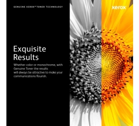 Xerox 006R01561 Lazerinė kasetė, Juoda