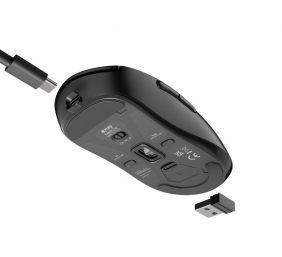 Fury Gaming Mouse | Tanto T4 | Wired/Wireless | 2.4 GHz, Bluetooth, USB | Black