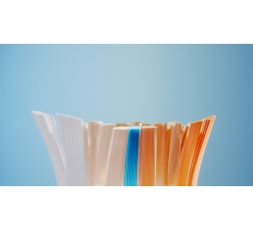 Philips Sonicare A3 Premium All-in-One HX9092/88 Sonic Dantų šepetėlio galvutės, Juoda