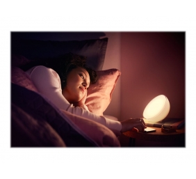 Philips Hue|Hue Go Portable Light|6 W|White and color ambiance|Zigbee