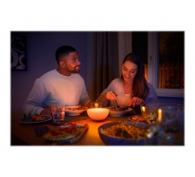 Philips Hue|Hue Go Portable Light|6 W|White and color ambiance|Zigbee