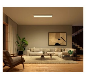 Philips Hue Surimu Rectangle Panel | 100 W | White and colour 2000-6500 Hue White Colour Ambiance | Bluetooth