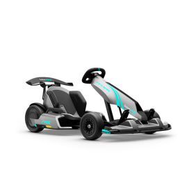 Segway GoKart Pro 2 | 43 km/h