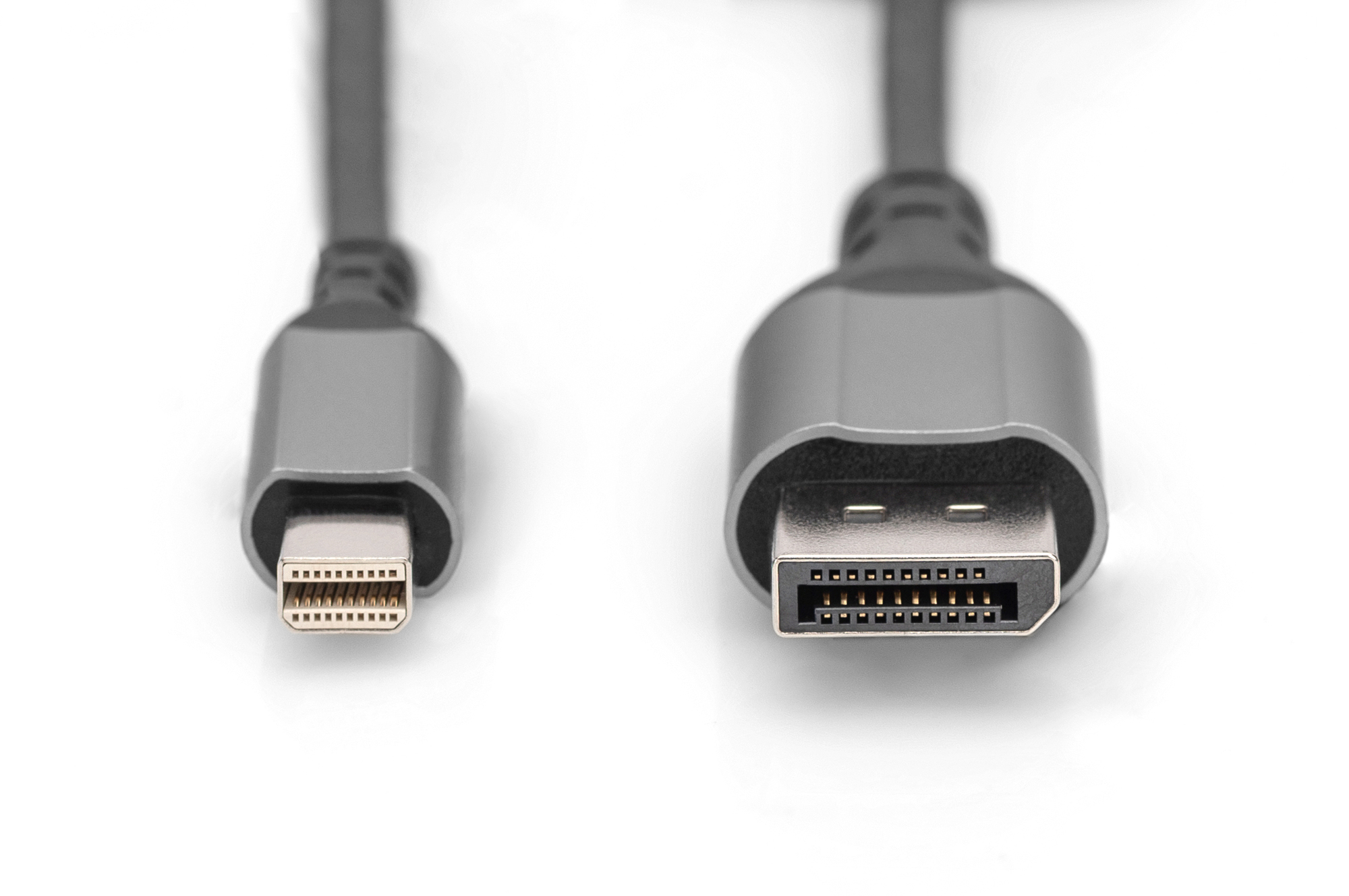 Digitus 8K DisplayPort Adapter Cable, Mini DP to DP, 2 m | DB-340106-020-S | DisplayPort to DisplayPort