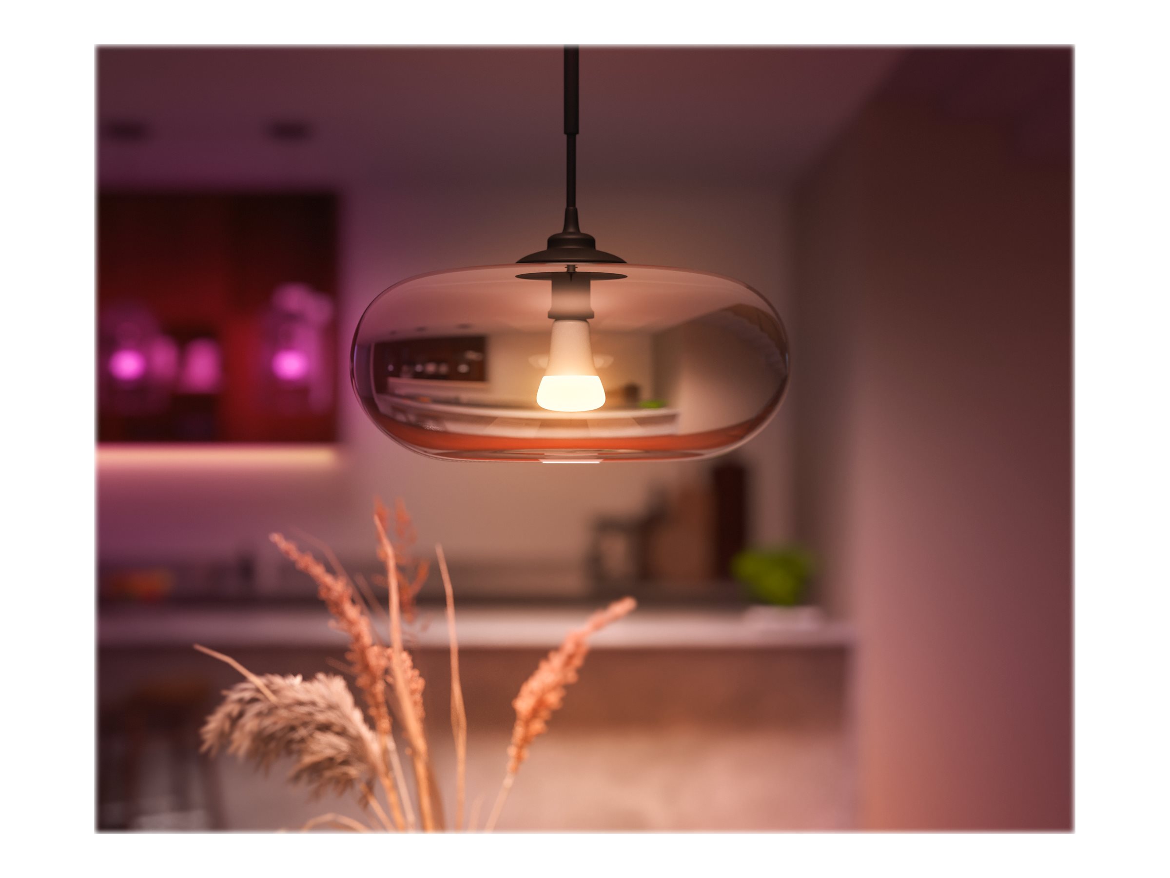 Hue WCA 13.5W A67 E27 | E27 | 13.5 W | RGBW 2000-6500K | Bluetooth and Zigbee