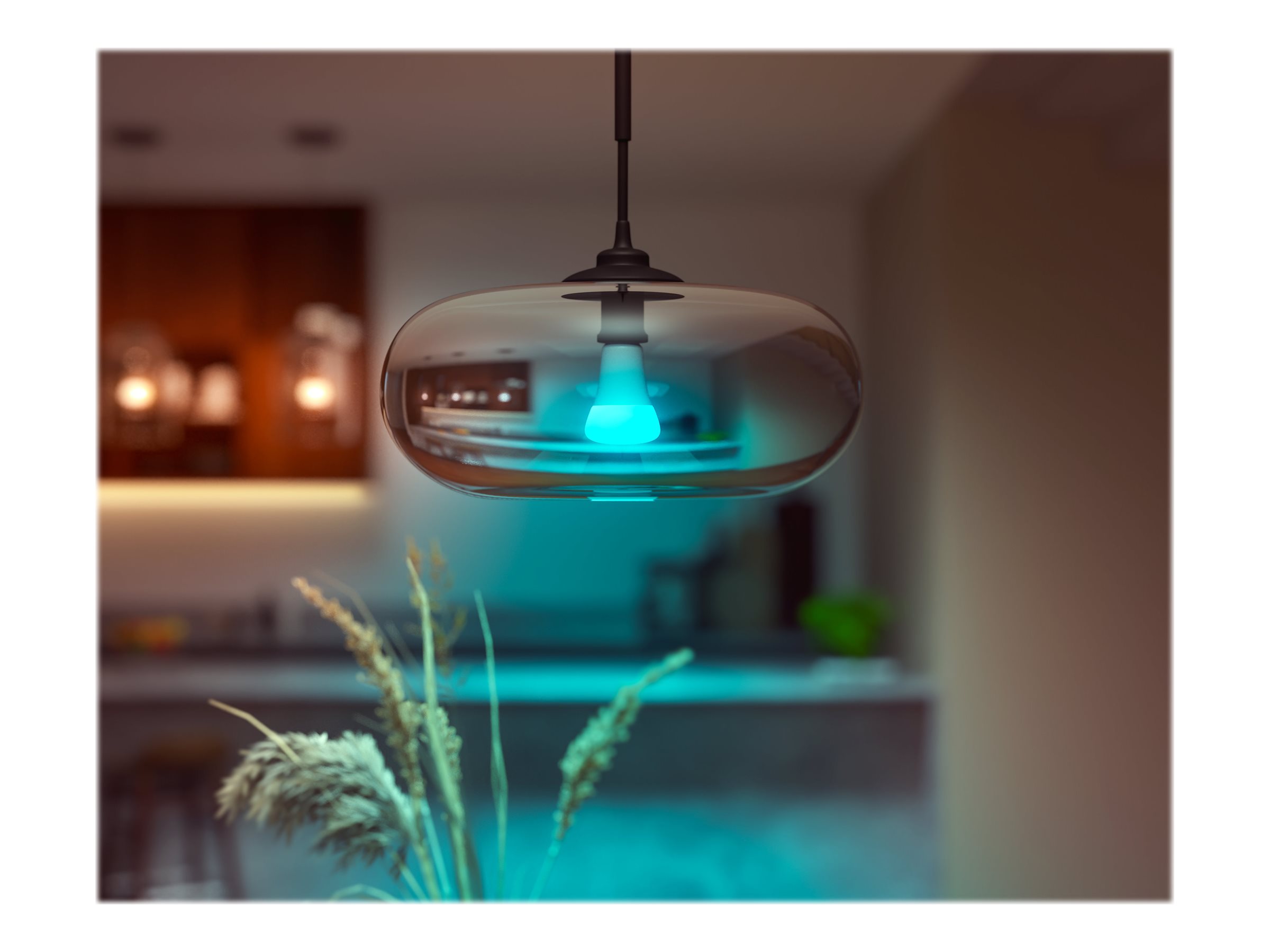 Hue WCA 13.5W A67 E27 | E27 | 13.5 W | RGBW 2000-6500K | Bluetooth and Zigbee