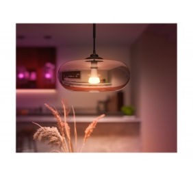 Hue WCA 13.5W A67 E27 | E27 | 13.5 W | RGBW 2000-6500K | Bluetooth and Zigbee
