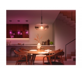 Hue WCA 13.5W A67 E27 | E27 | 13.5 W | RGBW 2000-6500K | Bluetooth and Zigbee