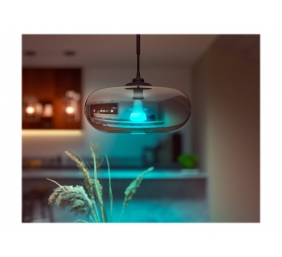 Hue WCA 13.5W A67 E27 | E27 | 13.5 W | RGBW 2000-6500K | Bluetooth and Zigbee