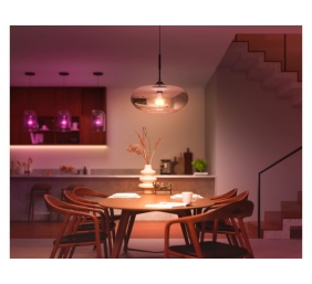 Hue WCA 13.5W A67 E27 | E27 | 13.5 W | RGBW 2000-6500K | Bluetooth and Zigbee