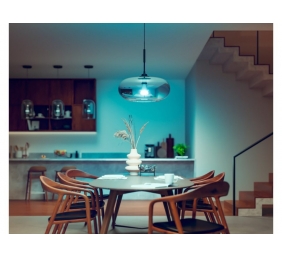 Hue WCA 13.5W A67 E27 | E27 | 13.5 W | RGBW 2000-6500K | Bluetooth and Zigbee