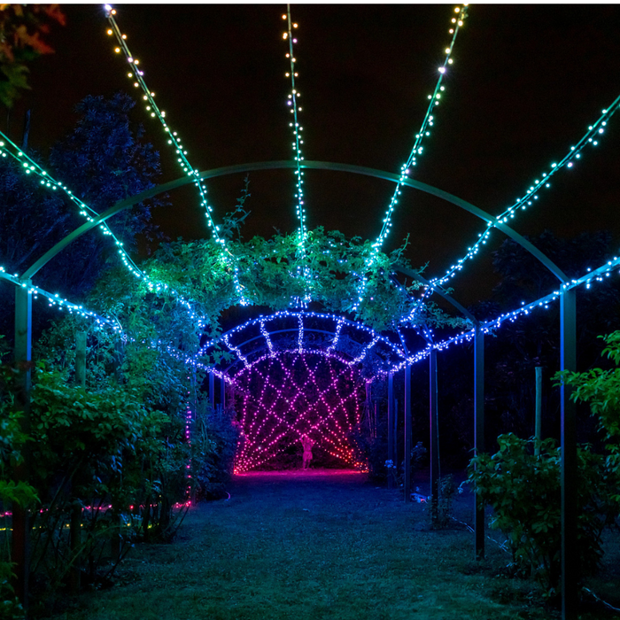 Twinkly|Strings Smart LED Lights 100 RGB (Multicolor), 8m, Black wire|RGB – 16M+ colors