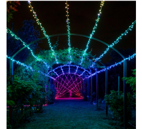 Twinkly|Strings Smart LED Lights 100 RGB (Multicolor), 8m, Black wire|RGB – 16M+ colors