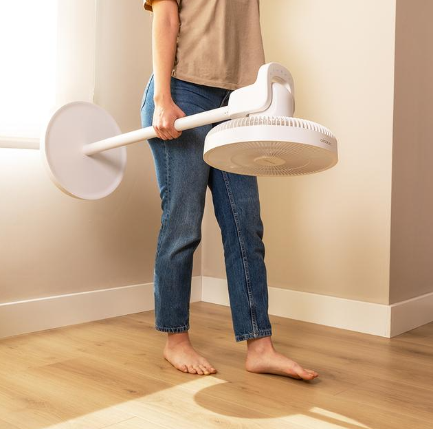 Cecotec EnergySilence 2600 Sunflower Portable | Stand Fan | Diameter 33 cm | Number of speeds 12 | Oscillation | 22 W | Remote control