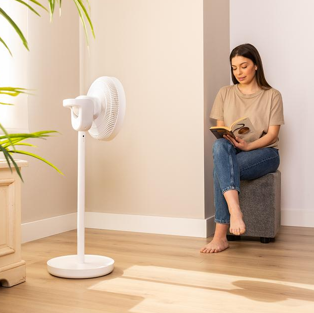 Cecotec EnergySilence 2600 Sunflower Portable | Stand Fan | Diameter 33 cm | Number of speeds 12 | Oscillation | 22 W | Remote control