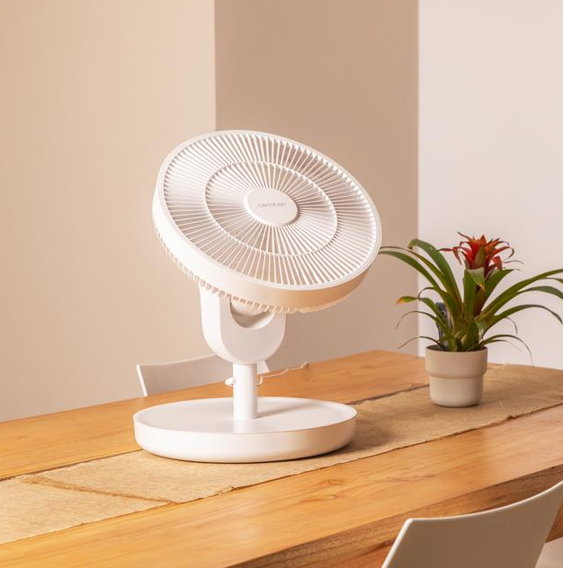 Cecotec EnergySilence 2600 Sunflower Portable | Stand Fan | Diameter 33 cm | Number of speeds 12 | Oscillation | 22 W | Remote control
