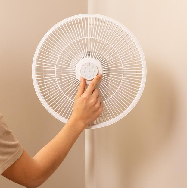 Cecotec EnergySilence 2600 Sunflower Portable | Stand Fan | Diameter 33 cm | Number of speeds 12 | Oscillation | 22 W | Remote control