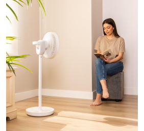 Cecotec EnergySilence 2600 Sunflower Portable | Stand Fan | Diameter 33 cm | Number of speeds 12 | Oscillation | 22 W | Remote control