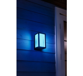 Philips Hue WCA Impress Outdoor Wall Lantern | 8 W | 2000-6500 Hue White Colour Ambiance