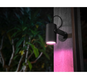 Philips Hue WCA Lily Outdoor Spot Light Extension 24V | 8 W | 2000-6500 Hue White Colour Ambiance