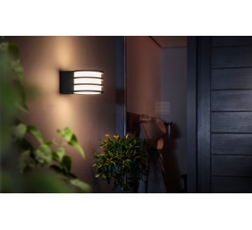 Philips Hue Lucca Wall Lantern | E27 | 9 W | Warm white