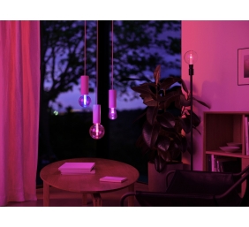 Philips Hue WCA Lightguide G95 | E27 | 6.8 W | White and colour light